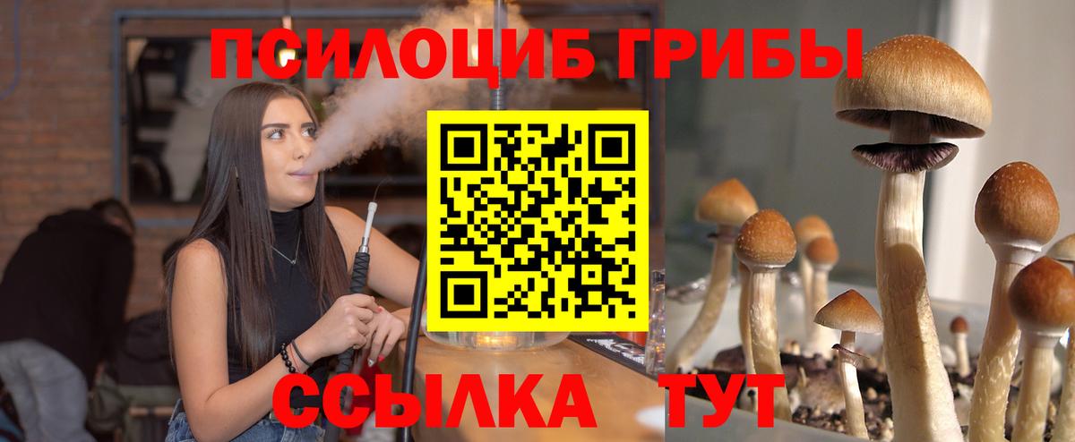 купить   Галлюциногенные грибы ЛСД  Вход с VPN  Егорьевск 